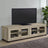 Sachin Rectangular TV Console with Glass Doors image