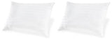 Zephyr 2.0 Cotton Pillow (Set of 2)