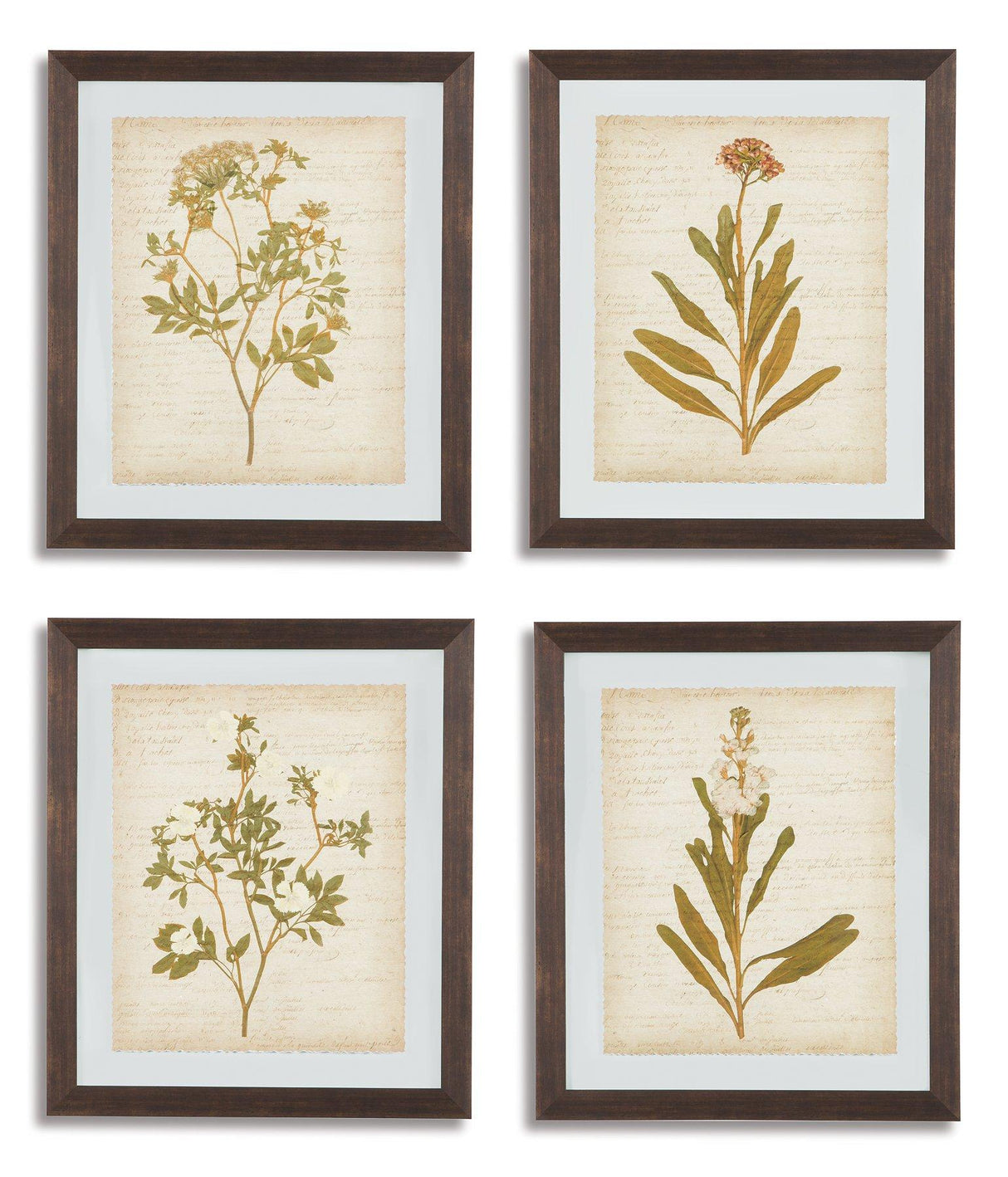 Dyani Wall Art (Set of 4) image