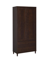 Wadeline 2-Door Tall Accent Cabinet Rustic Tobacco