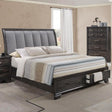 Crown Mark Jaymes King Storage Bed in Dark Brown image